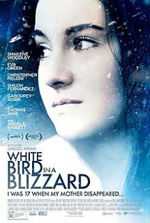 white bird in a blizzard poster