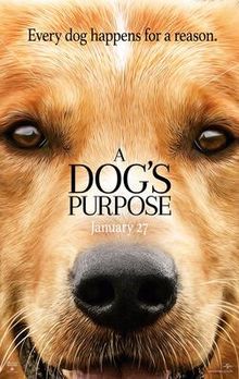 a dog purpose