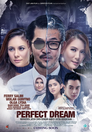 poster film perfect dream