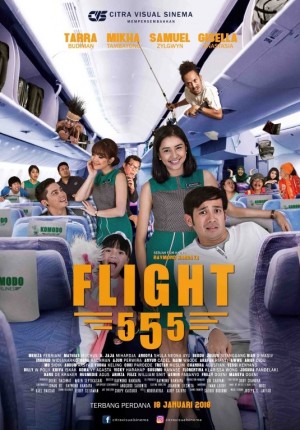 sinopsis flight 555