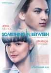 Sinopsis Poster Something in Between