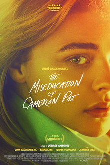 Sinopsis The Miseducation of Cameron Post