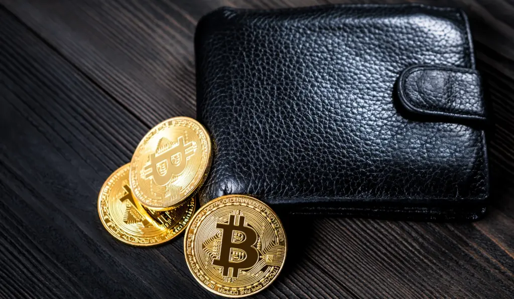 Dompet Bitcoin